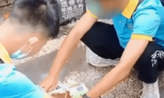 Nhà trường cấm mang đồ ăn, học sinh bị ép uống hết 11 bịch sữa ngay cổng trưởng