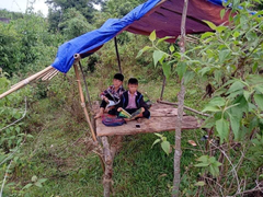 Học sinh lớp 6 lên núi dựng lán dò sóng học online