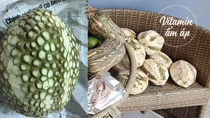 Câu chuyện về những quả sầu riêng không gai khiến ai đọc cũng rưng rưng