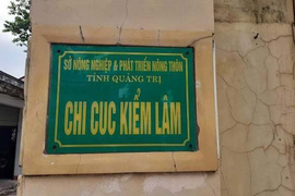Chi cục Kiểm lâm sai phạm tiền tỷ: Chuyển hồ sơ sang cơ quan điều tra