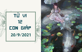 Dự đoán 12 con giáp 20/9: Tỵ mưu sự như ý, Tuất tránh xa tình tay ba