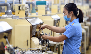 Giải ngân 382 tỷ đồng cho vay 0% lãi suất trả lương người lao động