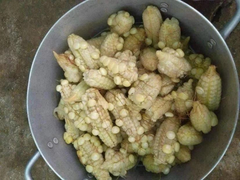 Cô gái tốn 70k tiền ship để mua ngô, nhận hàng xong nhìn mà giật mình