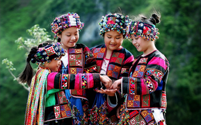 Video: Mùa vàng online - lễ hội Hoàng Su Phì của Hà Giang