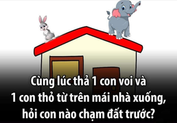Câu đố dành cho học sinh lớp 1 nhưng nhiều người lớn chịu thua