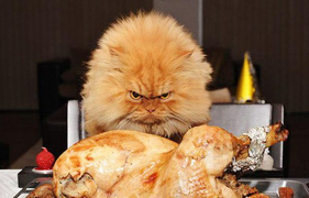 Vì sao nhiều người 'gắt như mắm tôm' khi đói bụng?