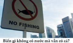 Biển gì không có nước mà vẫn có cá?