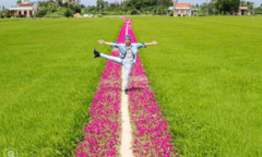 Con đường hoa mười giờ độc đáo ở miền Tây, mộc mạc nhưng vẫn hút mắt