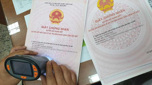 Giấy tờ giả, hậu quả thật