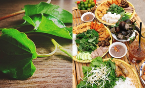 Món rau có mùi khiến nhiều người xây xẩm mặt mày, ăn thế nào cho ngon - bổ - rẻ?
