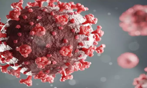 COVID-19: Tại sao chúng ta phải đề phòng biến thể R.1?