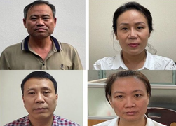 Nâng khống hàng chục tỷ đồng giá cây xanh ở Hà Nội: Khởi tố 4 bị can