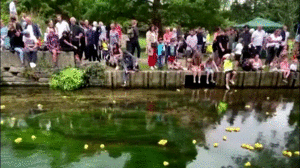 Video: Thú vị cuộc đua 4.000 con vịt nhựa ở Anh