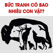 Câu đố đơn giản nhưng cho ra nhiều đáp án: Bạn nhìn thấy bao nhiêu con vật?