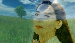 Bài thơ xúc động tiễn biệt ca sĩ Phi Nhung