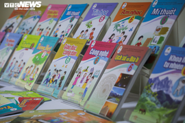 Các môn học được tích hợp thế nào từ lớp 6?