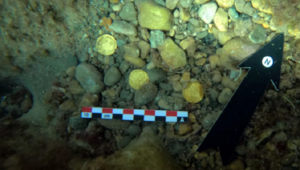 Đi lặn biển, phát hiện kho báu hơn 1.600 tuổi toàn vàng 