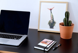 8 loại cây chống bức xạ điện từ cực tốt dành cho người dùng máy tính