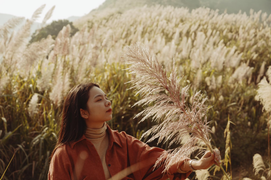 Cách Hà Nội chỉ 40 km có một ngọn đồi cỏ lau đẹp hút hồn không kém Bình Liêu