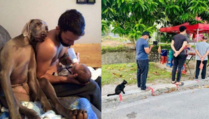 Giật mình khi hội thú cưng đồng loạt 'tiến hóa': Xếp hàng, selfie là chuyện nhỏ