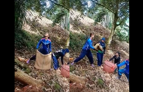 Cô gái giơ túi hứng sầu riêng không trượt phát nào