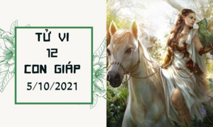 Dự đoán 12 con giáp 5/10: Ngọ tiền về tới tấp, Mùi hao tài do vung tay quá trán