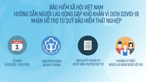 Video: Hướng dẫn người lao động nhận hỗ trợ từ Quỹ Bảo hiểm thất nghiệp