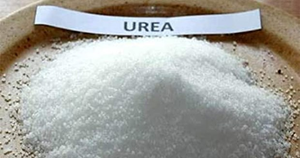 Khủng hoảng nguồn cung: Giá phân urê thế giới liên tiếp tạo nên các kỷ lục mới
