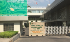 Khai trừ khỏi Đảng nhiều cán bộ, công chức liên quan 4 vụ án lớn ở TP.HCM