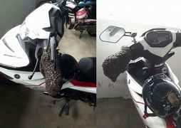 Hi hữu: Xe máy để lâu không chạy, đến ngày đi lại gặp cảnh 'khóc thét' thế này