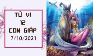 Dự đoán 12 con giáp 7/10: Mùi được quý nhân ưu ái, Tuất vượng phát khi đầu tư