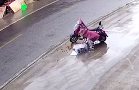 Pha ăn trộm trái cây cồng kềnh của tên trộm mới vào nghề