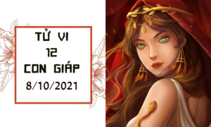 Dự đoán 12 con giáp 8/10: Dậu đào hoa nở rộ, Thân dễ gặp tình địch