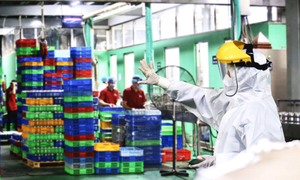 Chủ tịch Bình Dương: Tạo cơ chế mở, kêu gọi các doanh nghiệp mở cửa trở lại