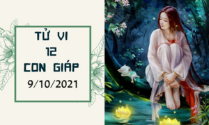 Dự đoán 12 con giáp 9/10: Tý thu nhập tăng vọt, Dần địa vị lung lay