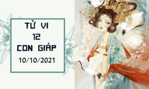 Dự đoán 12 con giáp 10/10: Mão phúc lộc tăng nhanh, Hợi đào hoa rực rỡ
