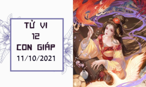 Dự đoán 12 con giáp 11/10: Thìn tấn thăng tài lộc, Dần đề phòng kẻ thứ ba