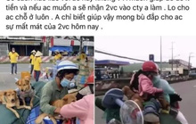 Chủ đàn chó bị tiêu hủy ở Cà Mau được 'đại gia' hỗ trợ tiền, hứa giúp việc làm