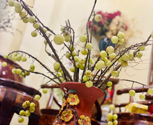 Me rừng sai trĩu cành hút khách, chị em tới tấp lùng mua