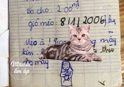 Lời hứa ‘trả thù’ cho mèo trong vở nhật ký cũ ghi ngày giỗ thú cưng gây sốt