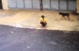 Đã chán đời lại còn bị chó đuổi ngã chổng vó