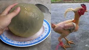 Đánh bay mọi logic, đây chính là những bức ảnh khó tin đến mức hài hước