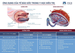 Cryoviva Vietnam - Bảo vệ bé và gia đình thông qua lưu trữ tế bào gốc cuống rốn