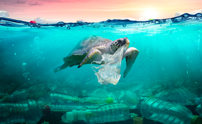 Hiểm họa từ rác thải nhựa đại dương: Những con số thức tỉnh nhân loại