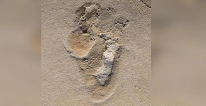 Phát hiện 'bóng ma' sinh vật giống con người, hơn 6 triệu tuổi