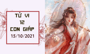 Dự đoán 12 con giáp 15/10: Tý đào hoa nở rộ, Tuất của cải hư hao
