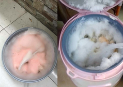 Món 'kẹo bông gòn' bằng nồi cơm điện: Ai thấy cũng bỏ chạy vì quá bốc mùi