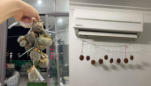 Dân mạng thi nhau làm hồng treo gió và cái kết lại cười ra nước mắt