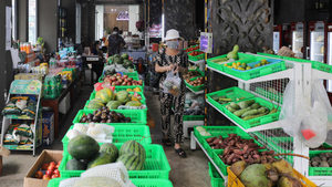 Video: Nhà hàng, quán bar ở phố Tây bán rau củ lấy tiền trả lương nhân viên