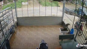 Video: Xe tải lật nhào, lao như bay vào nhà dân